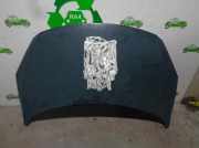 Motorhaube VERDE Peugeot 307 (3A/C/D) Schrägheck 1.6 HDiF 16V (DV6TED4(9HY))
