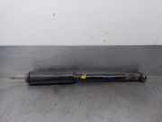 Stoßdämpfer Links Hinten 51831651 Lancia Delta (844) Schrägheck 1.6 D Multijet 16V 120 (198.A.2000)