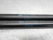 Gasdruckfedern Set Hinten 519537570 Fiat 500L (199) Gro?raumlimousine 1.3 D 16V Multijet (55283775)