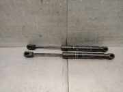 Gasdruckfeder Set Vorne 51217271304 BMW 3 serie Gran Turismo (F34) Schrägheck 320d 2.0 16V (B47-D20A)