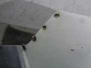 Schalter Für Elekt. Fensterheber Rechts Vorne 93581N70504X Hyundai Tucson (NX) SUV 1.6 T-GDI (G4FP)