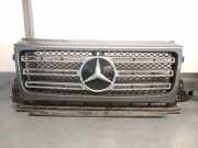 Grill A4638880400 Mercedes-Benz G (463) SUV G 500 4.0 Biturbo V8 32V (M176.980)