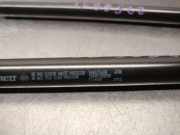 Gasdruckfedern Set Hinten 904507649R Renault II (HF_) E-TECH 160