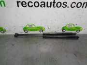 Gasdruckfedern Set Hinten 8200119498 Renault Megane II Grandtour (KM) Kombi 5-drs 1.5 dCi 105 (K9K-732(K9K-P7))
