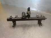 EinspritzdÃ¼sen DÃ¼senstock 9681909680 CitroÃ«n C8 (EA/EB) GroÃŸraumlimousine 2.0 HDiF 16V (DW10CTED4(RHD)) DW10CTED4(RHD)
