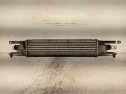 Ladeluftkühler 55702237 Fiat Grande Punto (199) Schrägheck 1.3 JTD Multijet 16V (199.A.2000)