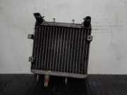 Radiator A2205001203 Mercedes-Benz S (W220) Limousine 4.0 S-400 CDI V8 32V (OM628.960)