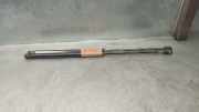 Gasdruckfedern Set Hinten 93ABA406A10B1B Ford Escort 6 (ANL) Kombi 1.8 TD (RVA)