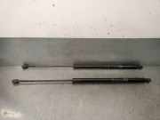 Gasdruckfedern Set Hinten AM51U406A10AE Ford Grand C-Max (DXA) Großraumlimousine 1.0 Ti-VCT EcoBoost 12V 125 (M1DA)