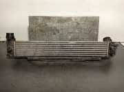 Scharniere D15DT Opel Combo Cargo Van 1.5 CDTI 100 (D15DT(DV5RC))