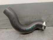 Schlauch L1BG18D334AF Ford Puma SUV 1.0 Ti-VCT EcoBoost mHEV 12V (B7JB)
