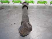 Stoßdämpfer Rechts Hinten 51805320 Fiat Linea (323AX) Limousine 1.3 D Multijet 16V VGT (199.A.3000)