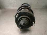 Stoßdämpfer Rechts Vorne 54651Q0AB0 Hyundai i20 (BC3) Schrägheck 5-drs 1.2 16V (G4LF)