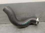 Schlauch L1BG18D334AF Ford Puma SUV 1.0 Ti-VCT EcoBoost mHEV 12V (B7JB)