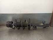 Stoßdämpfer Links Vorne 1S0413031B Volkswagen Up! (121) Schrägheck 1.0 12V 60 (CHYA) CHYA