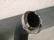 Schlauch L1B16C646AC Ford Puma SUV 1.0 Ti-VCT EcoBoost mHEV 12V (B7JB)