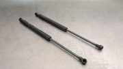 Gasdruckfedern Set Hinten 51247060622 BMW 1 serie (E87/87N) Schrägheck 5-drs 118d 16V (N47-D20A)