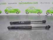 Gasdruckfeder Set Vorne 31278769 Volvo S60 II (FS) Limousine 2.0 D3 20V (D5204T2)