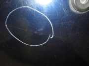 Scheibenwischer Rechts Vorne 6161835202013 BMW 7 serie (E38) Limousine 725 tds (M51-D25(256T1))