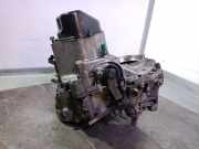 Tür Links Vorne 6025370565 Renault /GRAND (JE0) 2.2 Turbodiesel