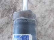 Stoßdämpfer Links Hinten 9624369480 Peugeot 406 (8B) Limousine 1.9 Sd,SLd,STd,STXd (XUD9TE(D8B))