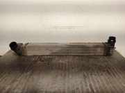 Ladeluftkühler 144961285R Renault Megane III Berline (BZ) Schrägheck 5-drs 1.2 16V TCE 115 (H5F-400(H5F-A4))