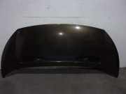 Motorhaube 7901N1 Peugeot Expert Tepee (G9) Großraumlimousine 2.0 HDiF 16V 130 (DW10CD(AHZ))