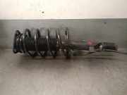 Stoßdämpfer Links Vorne DV6118K001LC Ford TRANSIT CONNECT 1.6 TDCi CAT