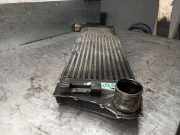 Ladeluftkühler 8200115540C Renault Megane II CC (EM) Cabrio 1.9 dCi 120 (F9Q-800)