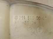 Ausgleichbehälter - - 2515000049 Mercedes-Benz CLASE R 350 L Bluetec 4-Matic (251.124)