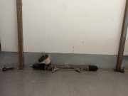 Lenkgetriebe 48001BC46A Nissan C+C (CK12E) *