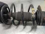 Stoßdämpfer Links Vorne 50705405 Fiat Stilo MW (192C) Kombi 1.4 16V (843.A.1000)