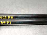 Kraftstoff-Injector 8200100272 Renault LAGUNA II (BG0) 1.9 dCi Diesel