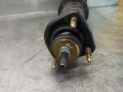 Sto?d?mpfer Rechts Hinten 4853039865 Lexus GS (..S16) Coup? 300 3.0 24V VVT-i (2JZ-GE)