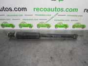 Stoßdämpfer Links Hinten 50708207 Fiat Bravo (198A) Schrägheck 1.9 JTD Multijet (192.A.8000)