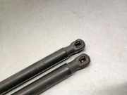 Gasdruckfedern Set Hinten AM51R406A10AE Ford C-Max (DXA) Gro?raumlimousine 1.0 Ti-VCT EcoBoost 12V 125 (M1DA(Euro 5))