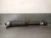 Stoßdämpfer Links Hinten 5FF512011 Cupra Formentor SUV 1.5 TSI 16V (DPCA) DPCA