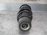 Sto?d?mpfer Rechts Vorne 333713 Volkswagen Golf IV Variant (1J5) Kombi 1.6 16V (AZD) AZD