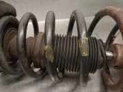 Stoßdämpfer Links Hinten 5535025100 Hyundai Accent Schrägheck 1.3i 12V (G4EA)