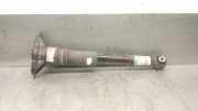 Stoßdämpfer Rechts Hinten 9842159980 Opel Corsa F (UB/UH/UP) Schrägheck 5-drs 1.2 12V 75 (F12XEL(EB2FD))