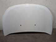 Motorhaube 651007793R Dacia Lodgy (JS/SD0J) Großraumlimousine 1.2 TCE 16V (H5F-402(H5F-C4))