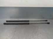 Gasdruckfedern Set Hinten 96FBB406A10BA Ford Fiesta 4 Schrägheck 1.8 D (RTJ)