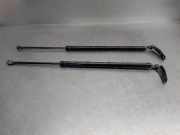 Gasdruckfedern Set Hinten 16G20C2 Nissan X-Trail (T32) SUV 1.6 Energy dCi 130 (R9M)