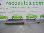 Gasdruckfedern Set Hinten 8200299546 Renault Clio III (BR/CR) Schrägheck 1.5 dCi 70 (K9K-768)