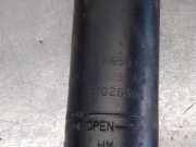 Sto?d?mpfer Rechts Hinten 6C0513025AK Skoda Fabia III Kombi (NJ5) Kombi 5-drs 1.2 TSI 16V Greentech (CJZC)