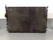 Radiator 8200062691 Renault I COUPE FASE 2 (DA..) 1.9 dCi Diesel CAT