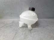 Ausgleichbeh?lter - 217102572R Renault V (B7_) 1.6 E-TECH 140 (B7MU)