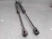 Gasdruckfeder Set Vorne 315005777 Opel Zafira Tourer (P12) Großraumlimousine 1.6 CDTI 16V ecoFLEX 134 (B16DTH(Euro 6))