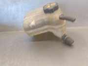 Türgriff Außen Links Hinten 1067001 MITSUBISHI SANTAMO (HYUNDAI) Santamo Confort