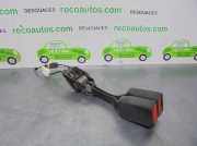 Stoßdämpfer Rechts Hinten Ford + Ti-VCT CAT (3 cil.)